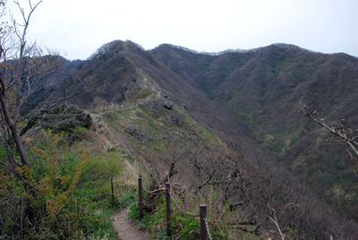 p_024.jpg