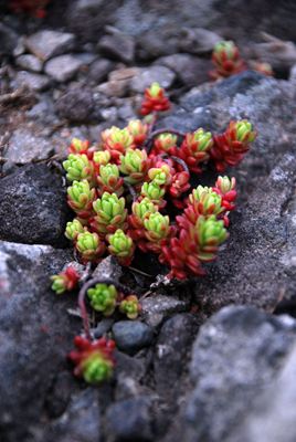 p_027.jpg