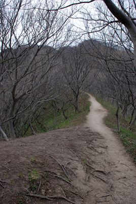 p_041.jpg