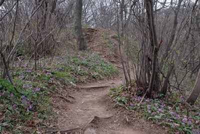 p_047.jpg