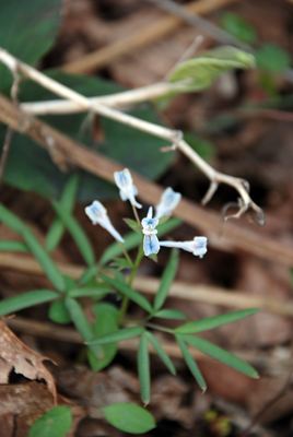 p_048.jpg