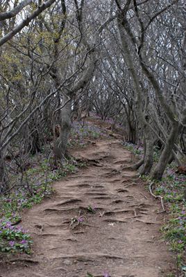 p_049.jpg