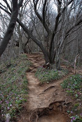 p_054.jpg