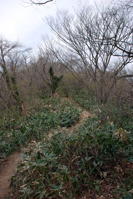 p_062.jpg