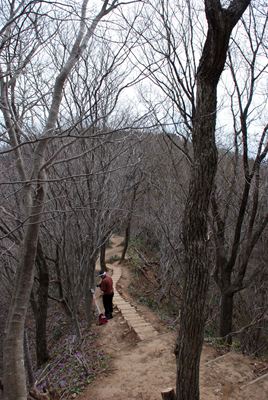 p_065.jpg