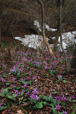 p_066.jpg
