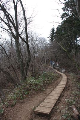 p_069.jpg