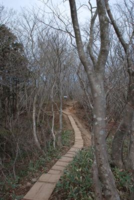p_074.jpg