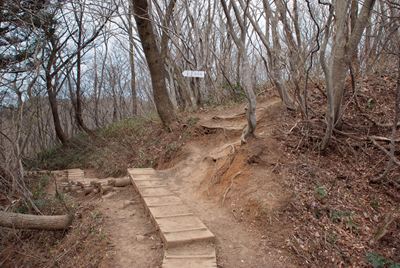 p_075.jpg