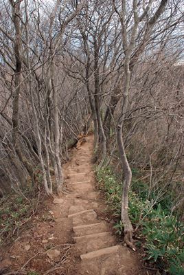 p_076.jpg