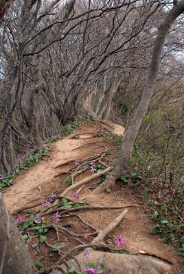 p_080.jpg