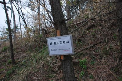 p_094.jpg