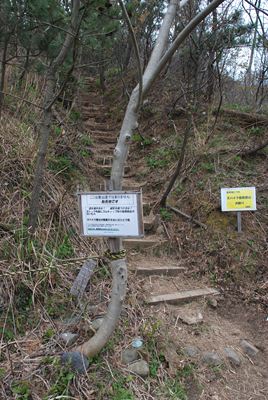 p_095.jpg