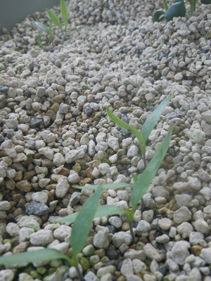 p_0512-005.jpg