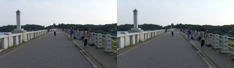 p_002s.jpg