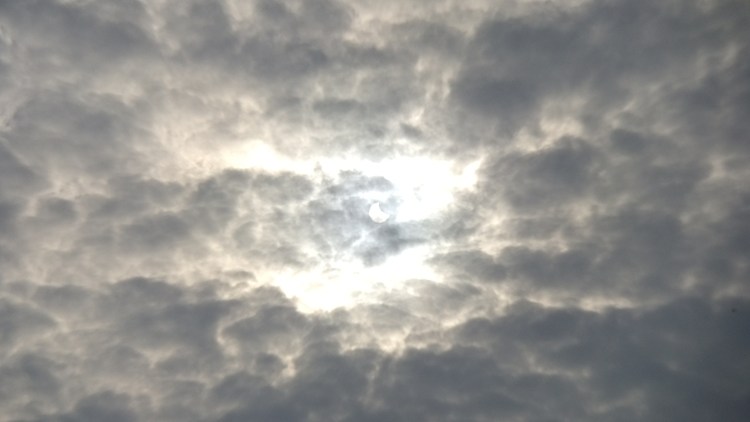 p_005.jpg