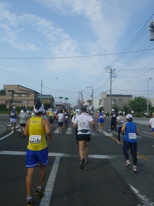 p_013.jpg