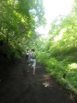 p_026.jpg