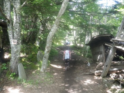 p_030.jpg