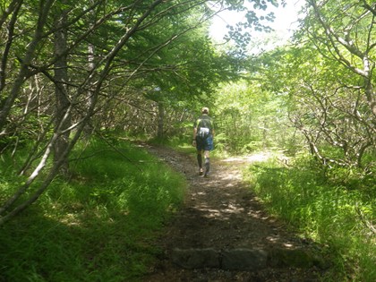p_036.jpg