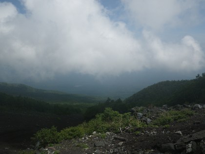 p_042.jpg
