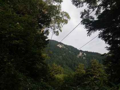 p_003.jpg