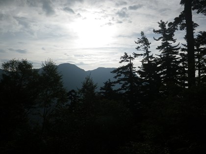 p_005.jpg