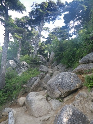 p_009.jpg