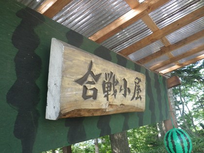 p_011.jpg