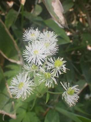 p_014.jpg