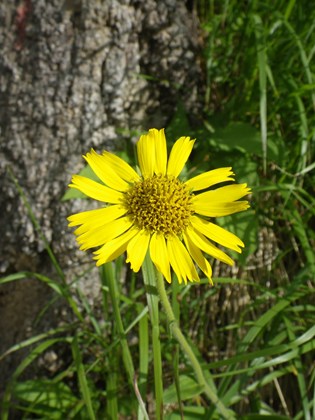 p_015.jpg