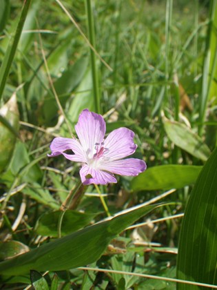 p_016.jpg