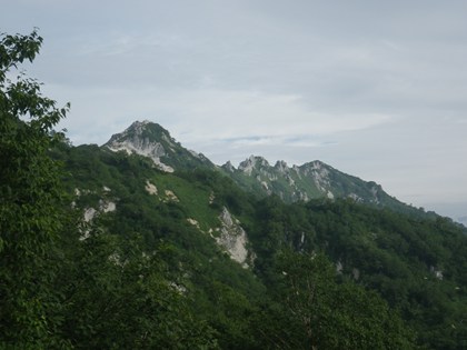 p_019.jpg
