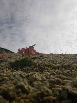 p_037.jpg