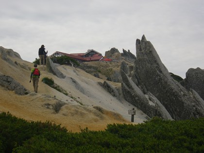 p_050.jpg