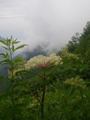 p_065.jpg