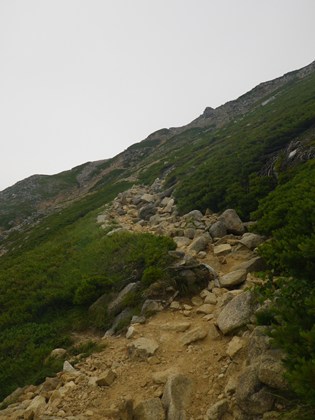 p_071.jpg