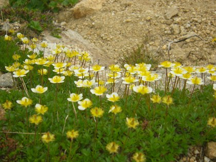 p_073.jpg