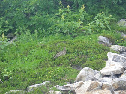 p_076.jpg