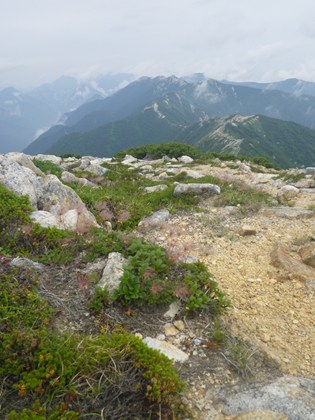 p_078.jpg