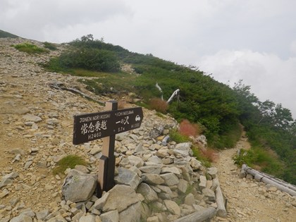 p_095.jpg