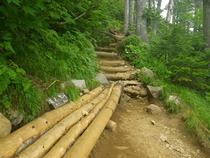p_098.jpg