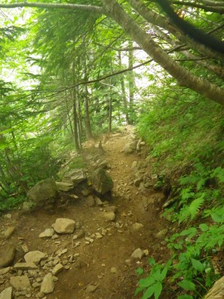 p_099.jpg