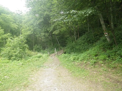 p_106.jpg