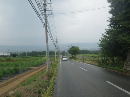 p_112.jpg