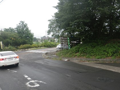 p_113.jpg