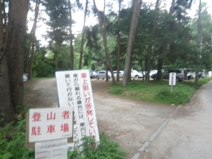 p_115.jpg