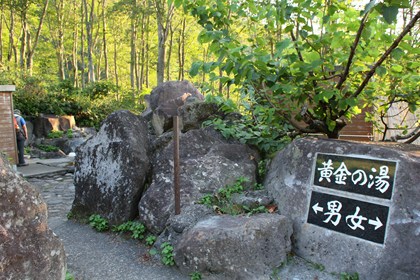 p_007.jpg