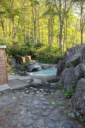 p_008.jpg