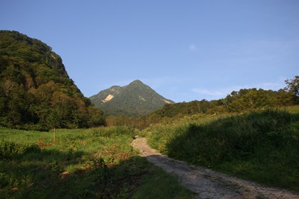 p_009.jpg
